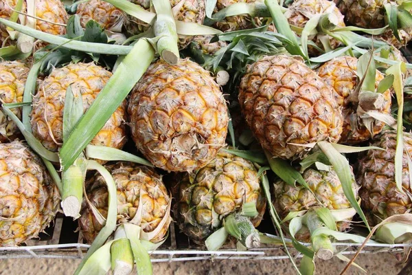 Verse Ananas Heerlijk Straatvoedsel — Stockfoto