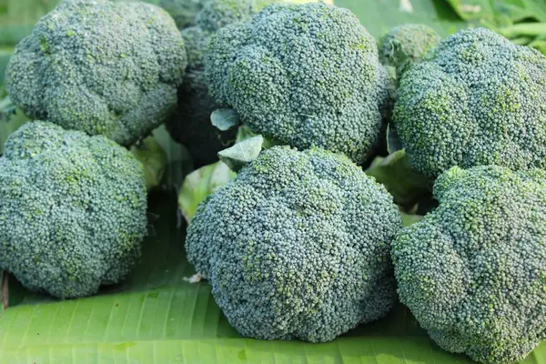 Broccoli Grönsaker För Matlagning Marknaden — Stockfoto