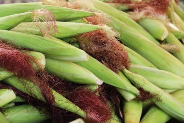 Belgili tanımlık çarşı içinde yemek pişirmek için taze Mısır