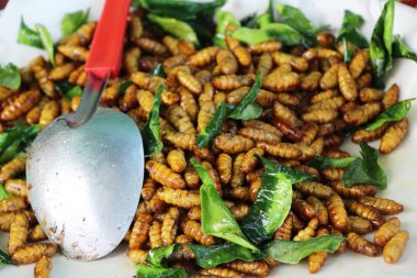 Fried ipek solucanlar sokak gıda lezzetli