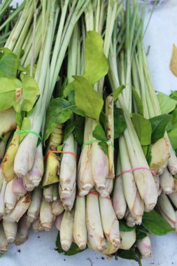 Sebze için baharatlı çorba sokak gıda ayarla