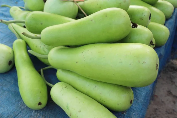 Winter Meloen Voor Het Koken Straat Eten — Stockfoto