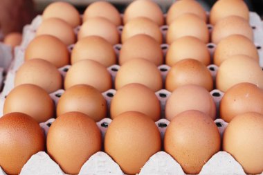 Piyasada panelinde yumurta