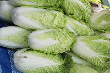 Sokak gıda yemek pişirmek için taze lahana