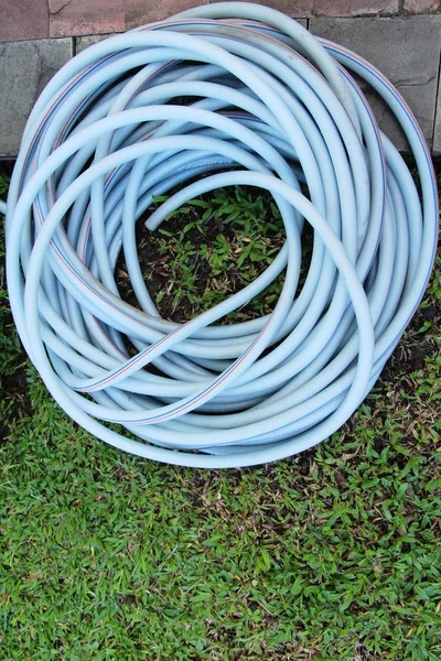 Rubber hose band lay in the garden