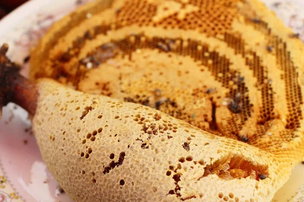 Gouden Honingraat Honing Met Natuur — Stockfoto