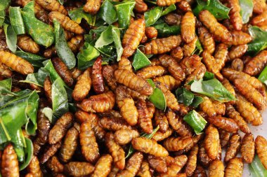 Fried ipek solucanlar sokak gıda lezzetli