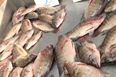 Taze balık sokak gıda yemek pişirmek için