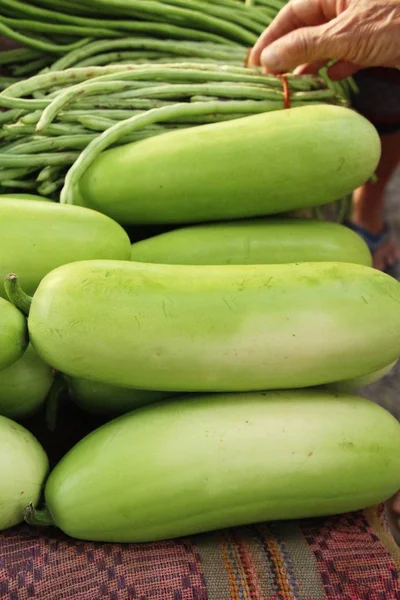 Melón Invierno Para Cocinar Calle —  Fotos de Stock