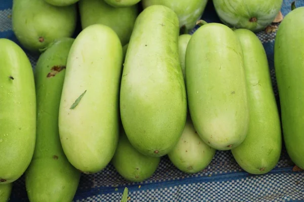 Melón Invierno Para Cocinar Calle —  Fotos de Stock