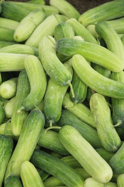 Fresh Cucumbers Cooking Market — Stock Photo, Image