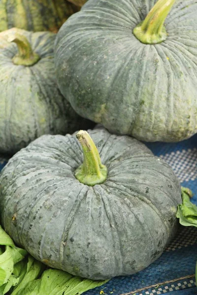 Citrouille Fraîche Pour Cuisiner Sur Marché — Photo