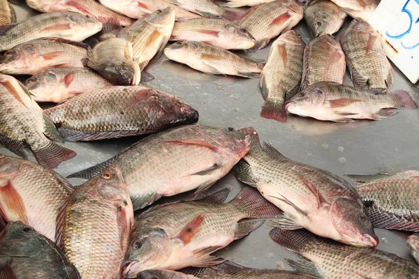 Färsk Fisk För Matlagning Gata Mat — Stockfoto