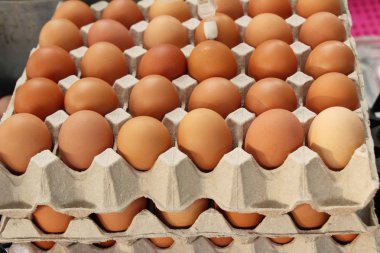 Piyasada panelinde yumurta