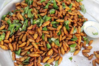 Fried ipek solucanlar sokak gıda lezzetli