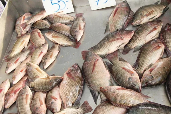 Peixe Fresco Para Cozinhar Comida Rua — Fotografia de Stock