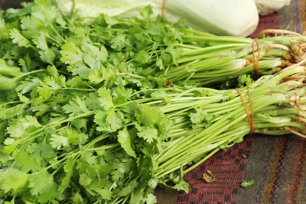 Färsk Koriander För Matlagning Marknaden — Stockfoto