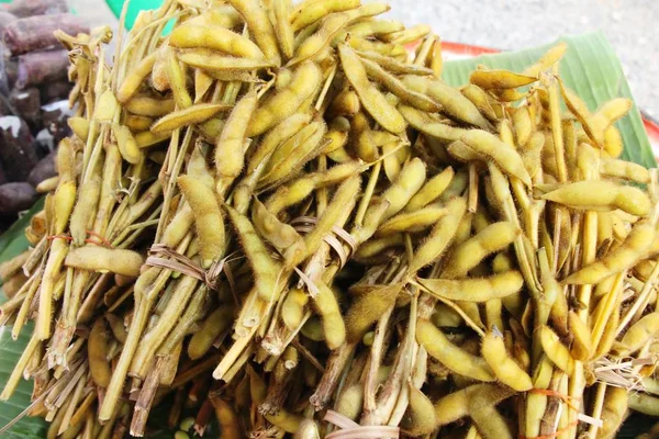 Grüne Japanische Sojabohnen Köstlich Beim Streetfood — Stockfoto