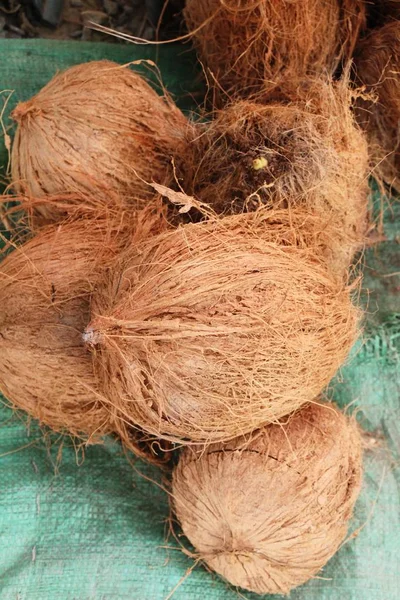 Fruta Coco Delicioso Comida Calle — Foto de Stock