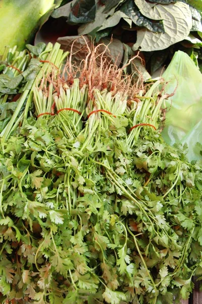 Fresh Coriander Cooking Market — Stock Photo, Image