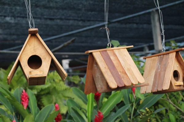 Casa de pássaro de madeira com a natureza — Fotografia de Stock