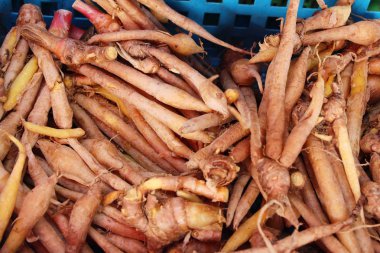 Belgili tanımlık çarşı içinde yemek pişirmek için zencefil kökü