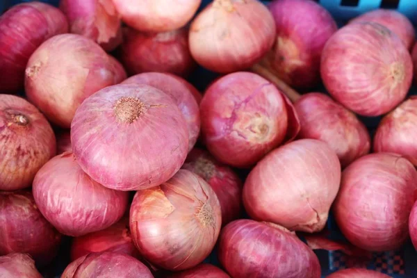 Chalota Cebolla Asiática Roja Comida Callejera — Foto de Stock