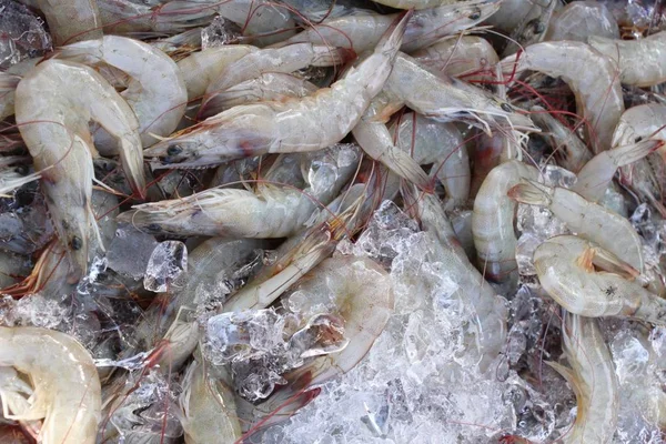 鲜虾在街头美食烹饪 — 图库照片