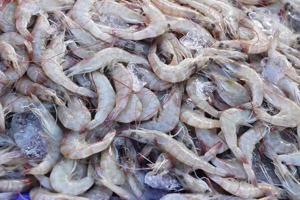 Udang Segar Untuk Memasak Makanan Jalanan — Stok Foto