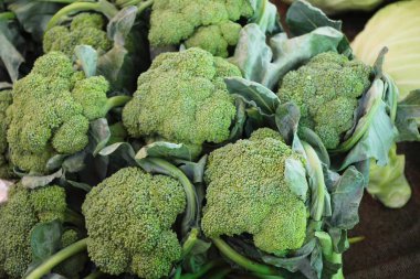 Belgili tanımlık çarşı içinde yemek pişirmek için brokoli sebze