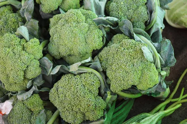 Broccoli Vegetable Cooking Market — Stock Photo, Image