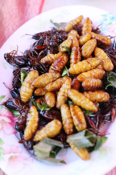 Fried Ipek Solucanlar Sokak Gıda Lezzetli — Stok fotoğraf