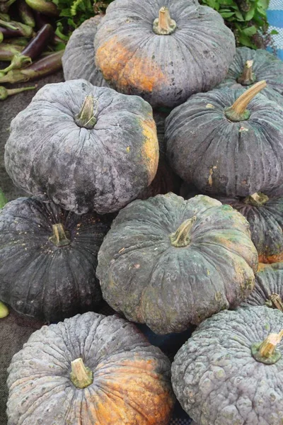 Citrouille Fraîche Pour Cuisiner Sur Marché — Photo