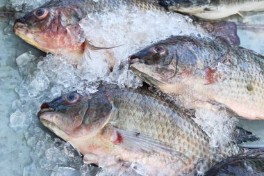Taze balık sokak gıda yemek pişirmek için