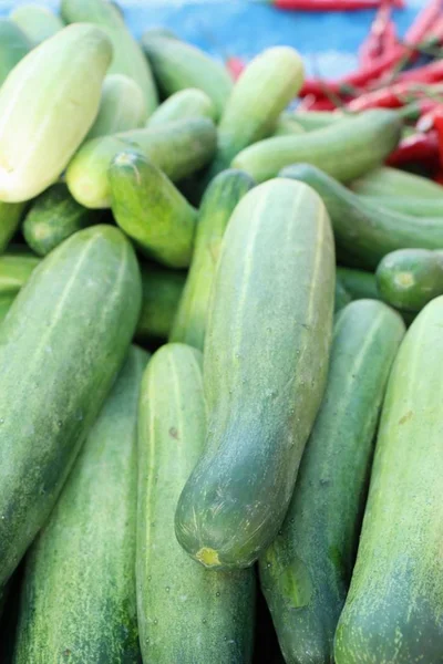 Verse Komkommers Voor Het Koken Markt — Stockfoto