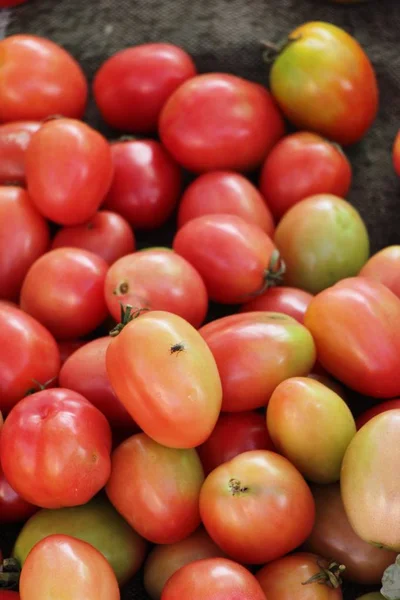 Tomates Frescos Para Cocinar Comida Callejera —  Fotos de Stock