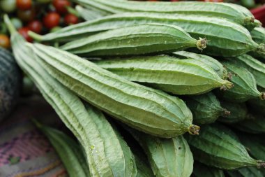 lif kabağı acutangula sokak gıda yemek pişirmek için