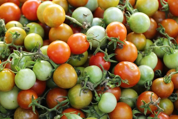 Tomates Frescos Para Cozinhar Comida Rua — Fotografia de Stock