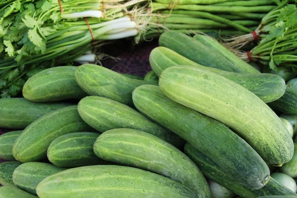 Verse Komkommers Voor Het Koken Markt — Stockfoto