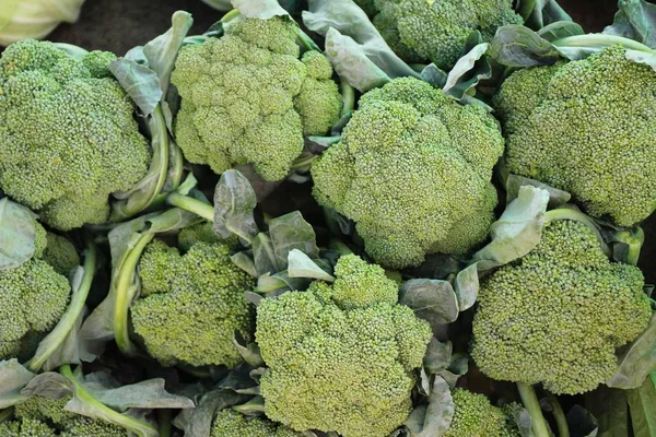 Broccoli Grøntsager Til Madlavning Markedet - Stock-foto