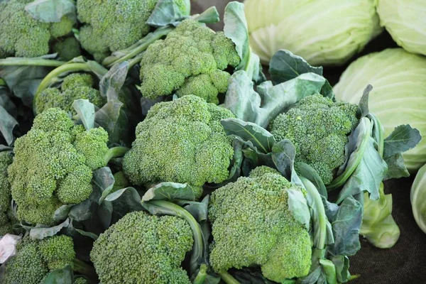 Hortalizas Brócoli Para Cocinar Mercado —  Fotos de Stock