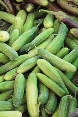 Belgili tanımlık çarşı içinde yemek pişirmek için taze salatalık