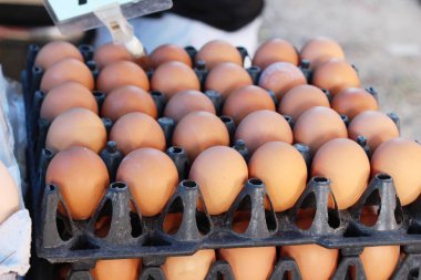 Piyasada panelinde yumurta