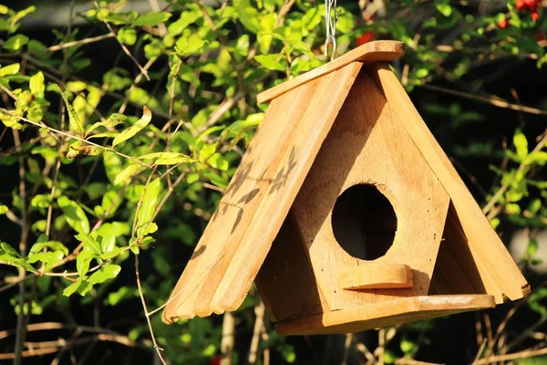 Maison Oiseaux Bois Avec Nature — Photo