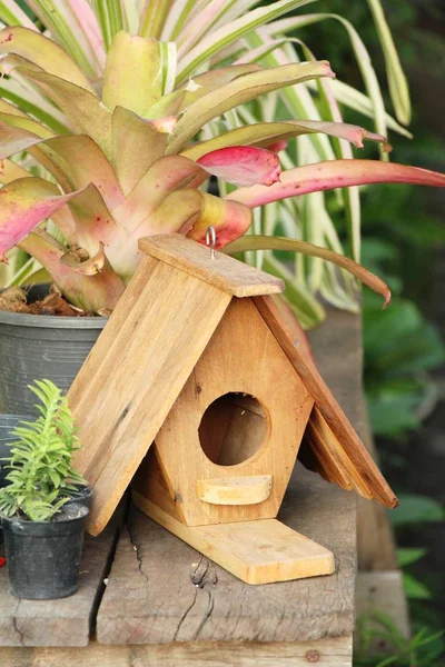 Casa Pájaros Madera Con Naturaleza — Foto de Stock