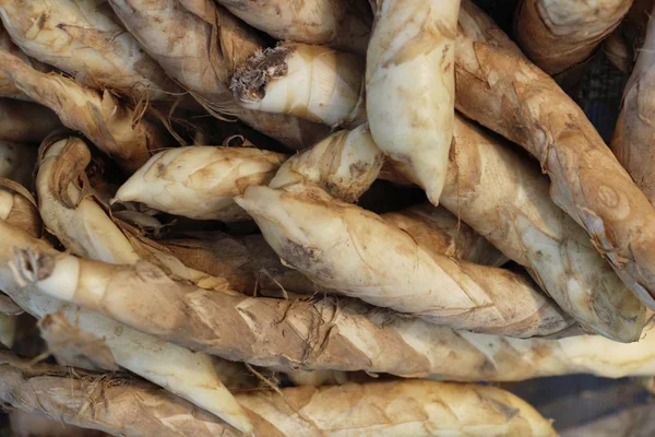 Frischer Galgant Zum Kochen Auf Dem Markt — Stockfoto