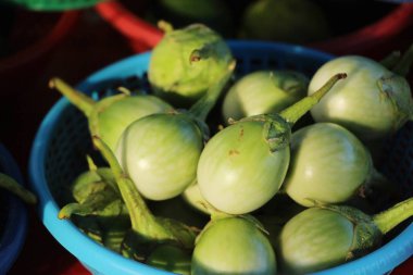 Taze patlıcan yeşil sokak gıda organik