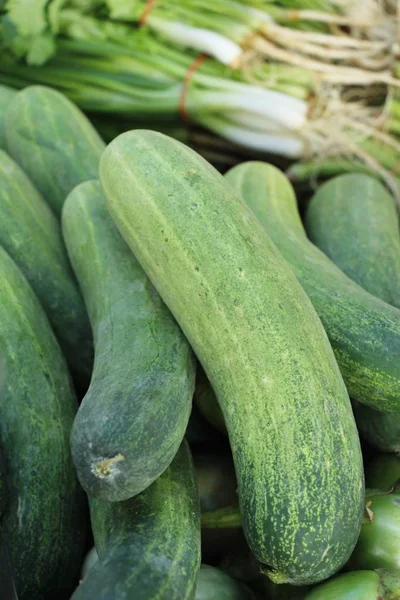 Fresh Cucumbers Cooking Market — Stock Photo, Image