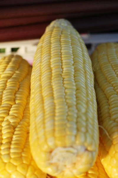 Świeża Kukurydza Gotowania Rynku — Zdjęcie stockowe