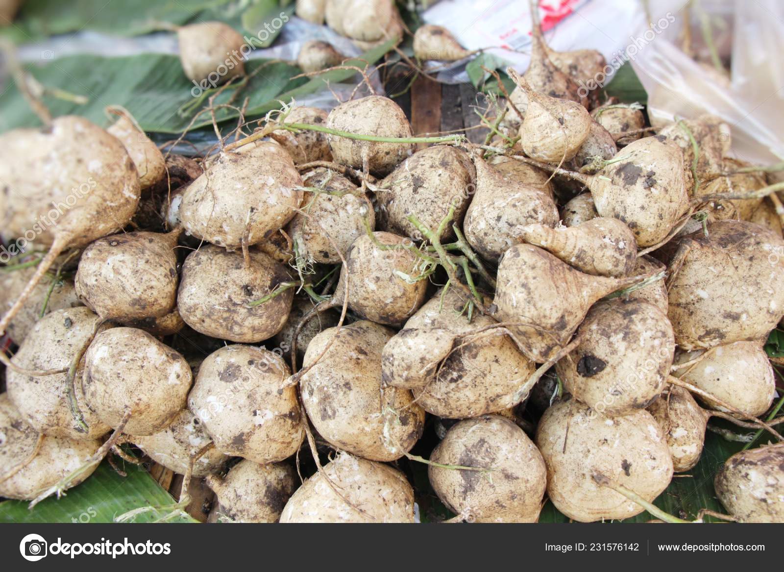 Cassava Yam Bean Market — Stock Photo © seagamess 231576142